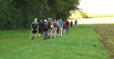 Marche hebdomadaire du mardi