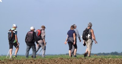 Marche hebdomadaire du mardi