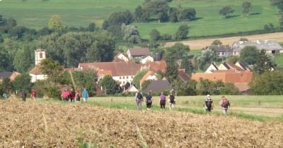 Marche hebdomadaire du mardi