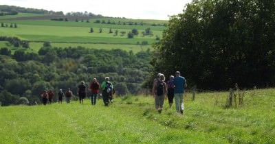 Marche hebdomadaire du mardi