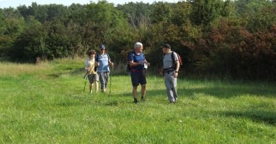 Marche hebdomadaire du mardi