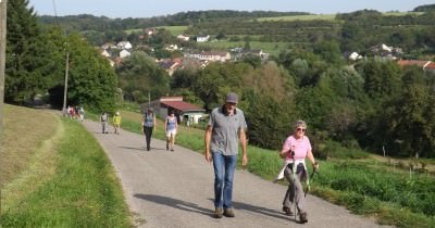 Marche hebdomadaire du mardi