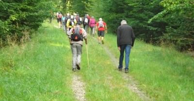 Marche hebdomadaire du mardi