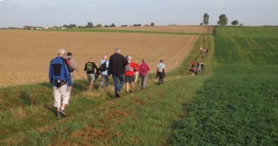 Marche hebdomadaire du mardi