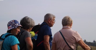 Marche hebdomadaire du mardi