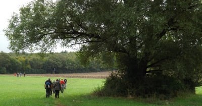 Marche hebdomadaire du mardi