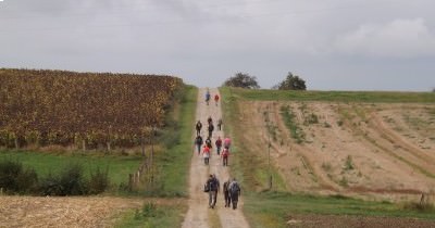 Marche hebdomadaire du mardi