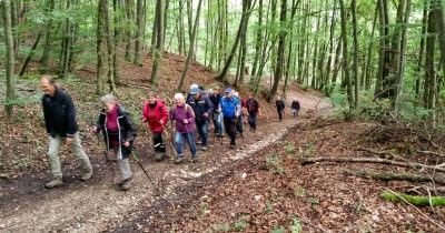 Marche hebdomadaire du mardi