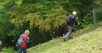 Marche hebdomadaire du mardi