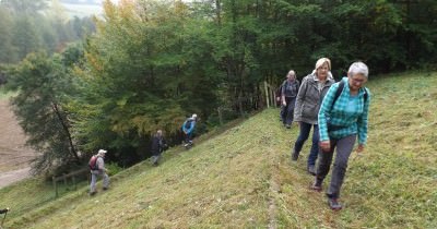 Marche hebdomadaire du mardi