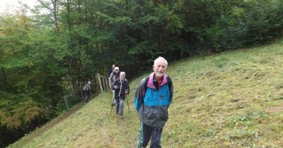 Marche hebdomadaire du mardi