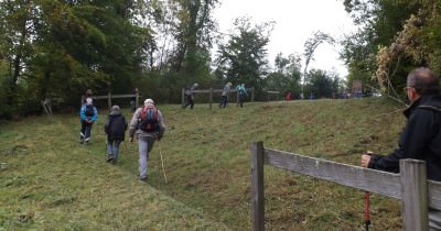 Marche hebdomadaire du mardi