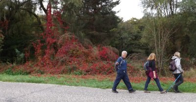 Marche hebdomadaire du mardi