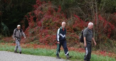 Marche hebdomadaire du mardi