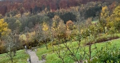 Marche hebdomadaire du mardi