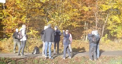 Marche hebdomadaire du mardi