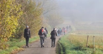 Marche hebdomadaire du mardi