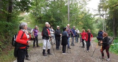 Marche nordique du lundi et du jeudi