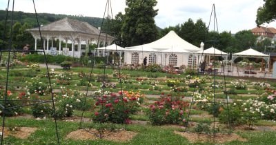 Traversée des Vosges du Nord - 05 au 12 juin 2022