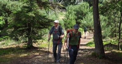 Traversée des Vosges du Nord - 05 au 12 juin 2022