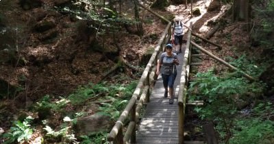 Traversée des Vosges du Nord - 05 au 12 juin 2022