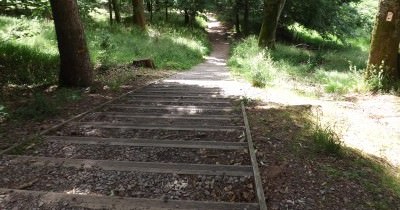 Traversée des Vosges du Nord - 05 au 12 juin 2022