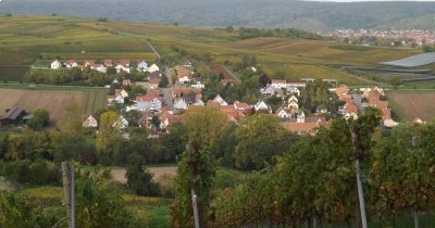3 jours en Alsace aux couleurs de l'Automne - 7-8-9 octobre 2022