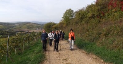 3 jours en Alsace aux couleurs de l'Automne - 7-8-9 octobre 2022