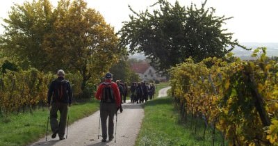 3 jours en Alsace aux couleurs de l'Automne - 7-8-9 octobre 2022