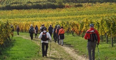 3 jours en Alsace aux couleurs de l'Automne - 7-8-9 octobre 2022