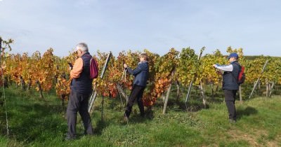 3 jours en Alsace aux couleurs de l'Automne - 7-8-9 octobre 2022