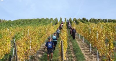 3 jours en Alsace aux couleurs de l'Automne - 7-8-9 octobre 2022