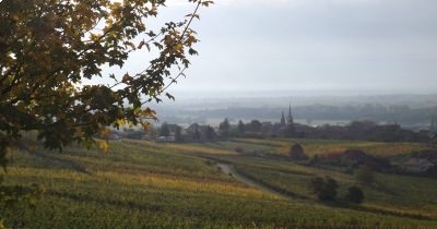 3 jours en Alsace aux couleurs de l'Automne - 7-8-9 octobre 2022