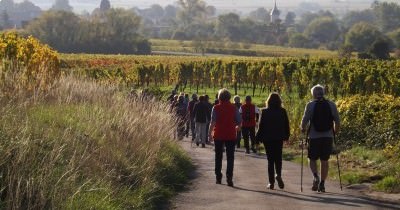 3 jours en Alsace aux couleurs de l'Automne - 7-8-9 octobre 2022