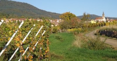 3 jours en Alsace aux couleurs de l'Automne - 7-8-9 octobre 2022