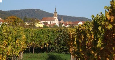 3 jours en Alsace aux couleurs de l'Automne - 7-8-9 octobre 2022