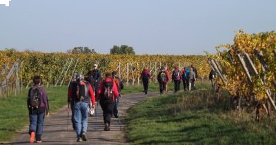 3 jours en Alsace aux couleurs de l'Automne - 7-8-9 octobre 2022