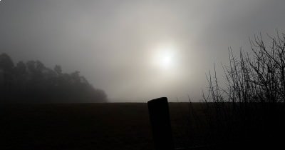 Marche hebdomadaire du mardi