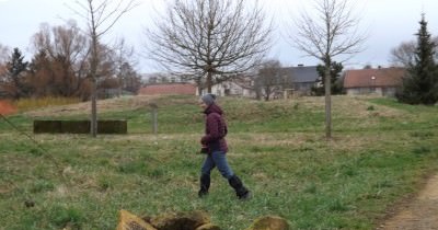 Marche hebdomadaire du mardi