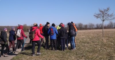 Marche hebdomadaire du mardi