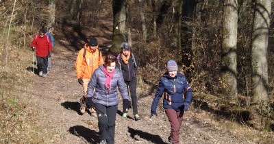 Marche hebdomadaire du mardi