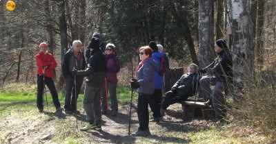 Marche hebdomadaire du mardi