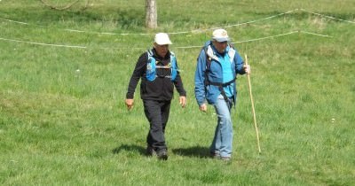 Marche hebdomadaire du mardi