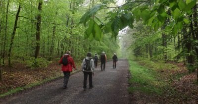 Marche hebdomadaire du mardi