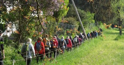 Marche hebdomadaire du mardi