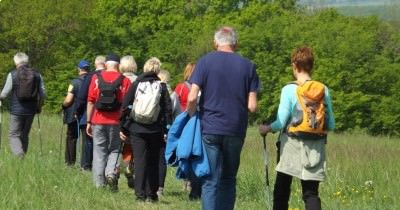 Marche hebdomadaire du mardi