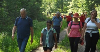 Marche hebdomadaire du mardi