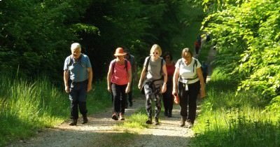 Marche hebdomadaire du mardi