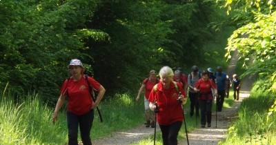 Marche hebdomadaire du mardi