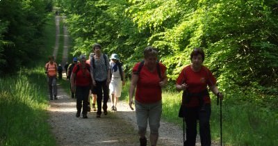 Marche hebdomadaire du mardi